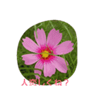秋、冬（個別スタンプ：13）