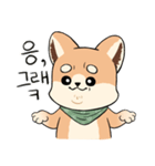 Hello baby Shibong！（個別スタンプ：12）