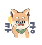 Hello baby Shibong！（個別スタンプ：14）