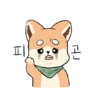 Hello baby Shibong！（個別スタンプ：17）