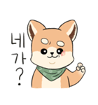 Hello baby Shibong！（個別スタンプ：24）