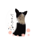我が家のぷうさん（個別スタンプ：12）