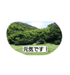 fukei（個別スタンプ：1）