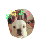 wasaeno2（個別スタンプ：1）