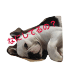 wasaeno2（個別スタンプ：3）