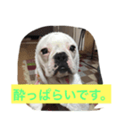 wasaeno2（個別スタンプ：4）