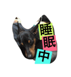 wasaeno2（個別スタンプ：5）
