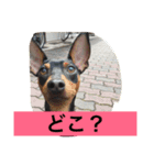 wasaeno2（個別スタンプ：8）
