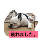 wasaeno2（個別スタンプ：9）