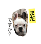 wasaeno2（個別スタンプ：11）