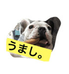 wasaeno2（個別スタンプ：13）