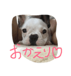 wasaeno2（個別スタンプ：14）