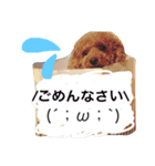 ほたるの毎日（個別スタンプ：5）