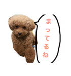 ほたるの毎日（個別スタンプ：8）