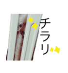ほたるの毎日（個別スタンプ：11）