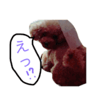 ほたるの毎日（個別スタンプ：13）