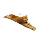 i just want to sleep meow（個別スタンプ：1）