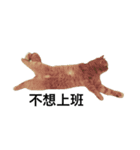 i just want to sleep meow（個別スタンプ：7）