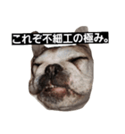 YURUBUTYA family（個別スタンプ：5）