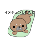 おせっかいアザラシハンジロー（個別スタンプ：7）