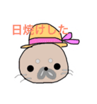 おせっかいアザラシハンジロー（個別スタンプ：8）