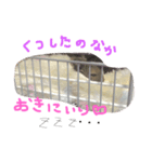 デグー♡スタンプ（個別スタンプ：6）