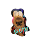 Chihuahawa 1（個別スタンプ：21）