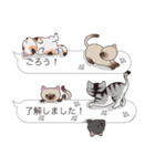 【ごろう】猫だらけの吹き出し（個別スタンプ：17）