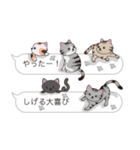 【しげる】猫だらけの吹き出し（個別スタンプ：18）