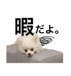 がちこまち（個別スタンプ：3）