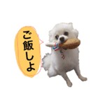 がちこまち（個別スタンプ：9）