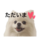 がちこまち（個別スタンプ：15）