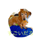 17old  DOG2（個別スタンプ：6）