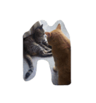 kiyochikuん家の猫(2)（個別スタンプ：16）