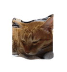kiyochikuん家の猫(2)（個別スタンプ：23）