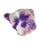 Dog Faces（個別スタンプ：2）