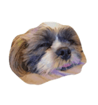 Dog Faces（個別スタンプ：6）