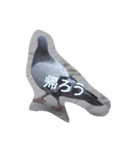 鳩（個別スタンプ：5）