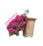 bonsai（個別スタンプ：2）