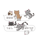 【つよし】猫だらけの吹き出し（個別スタンプ：38）