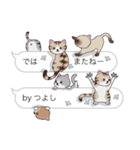 【つよし】猫だらけの吹き出し（個別スタンプ：40）