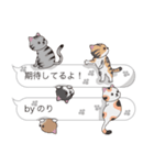 【のり】猫だらけの吹き出し（個別スタンプ：30）