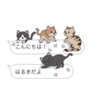 【はるき】猫だらけの吹き出し（個別スタンプ：2）