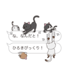 【ひろき】猫だらけの吹き出し（個別スタンプ：20）