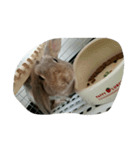 かまって〰（個別スタンプ：6）