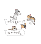 【やすのぶ】猫だらけの吹き出し（個別スタンプ：15）