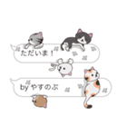 【やすのぶ】猫だらけの吹き出し（個別スタンプ：23）