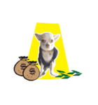 Dog Chihuahua（個別スタンプ：4）