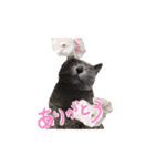 あおい・かわいい（個別スタンプ：2）