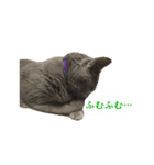 あおい・かわいい（個別スタンプ：5）